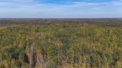 1xxx 460th Ln, Palisade, MN 56469 - photo 2