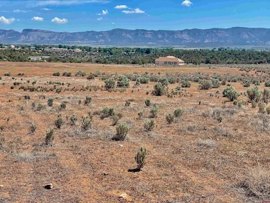 Tract 4 Road K 3, Cortez, CO 81321 - photo 3