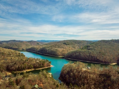 0 Wildcat Hollow Rd unit 11611764, New Tazewell, TN 37825 - photo 3