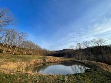 157 Acres Hazel Valley Rd, Fayetteville, AR 72701 - photo 5