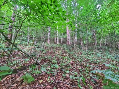 9999 Fox Creek Rd unit 13, Mars Hill, NC 28754 - photo 4