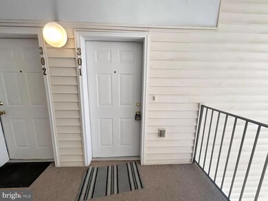 2482 Angeline Dr unit 301, Herndon, VA 20171 - photo 5