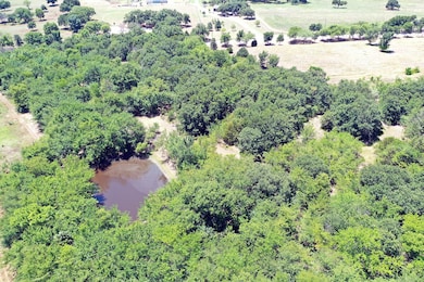 Joe Allen Rd, Pilot Point, TX 76258 - photo 4