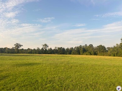 132 Private Road 1108, Fouke, AR 71837 - photo 4