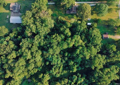 Top Down View
