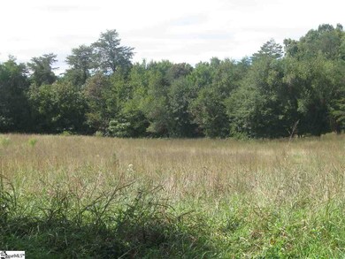 1245 New McElhaney Rd unit 10063 Old White Hors, Travelers Rest, SC 29690 - photo 6