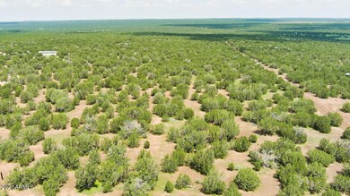 7) P.Jensen_1382 KB Ranch Rd