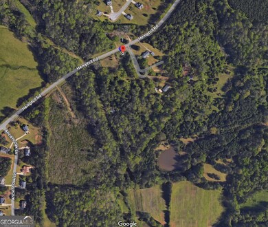 Google View