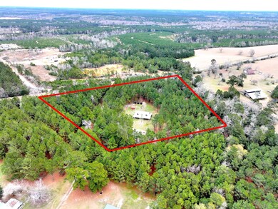 4153 Fm 2500, Livingston, TX 77351 - photo 3