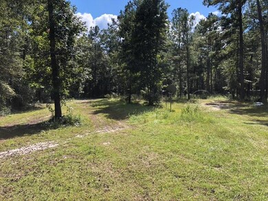 13 Steele Ct, Crawfordville, FL 32327 - photo 4