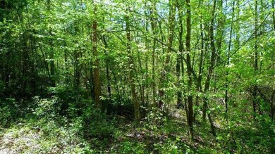 39.11 Acres Lone Oak Rd unit 39.11 Acres Lone Oak, Anderson, SC 29621 - photo 4