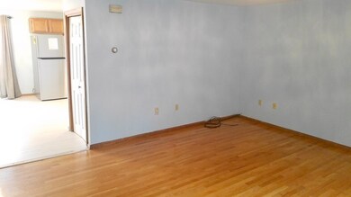 14 Myrtle St unit 1, Somerville, MA 02145 - photo 3