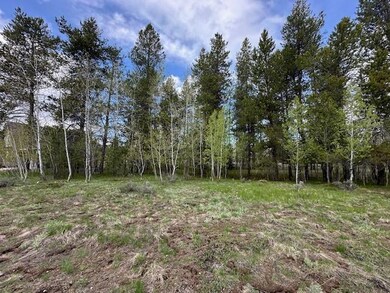 A level lot with Pines and Aspens