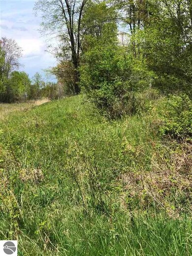 0 Rhodes Rd, Sherman Township, MI 48748 - photo 3