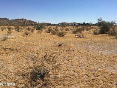 0 S 190th Ave unit 6950096, Buckeye, AZ 85326 - photo 3