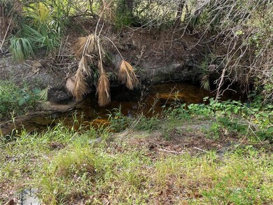 13047 Green Gulf Blvd, Punta Gorda, FL 33955 - photo 4