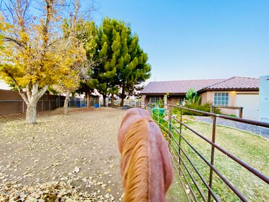 Irrigated horse propety