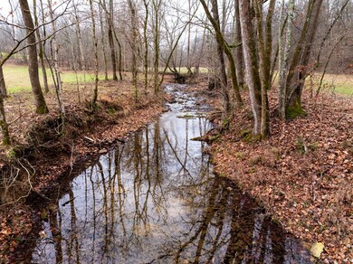 0 Shelter Branch Rd, Cumberland Furnace, TN 37051 - photo 7