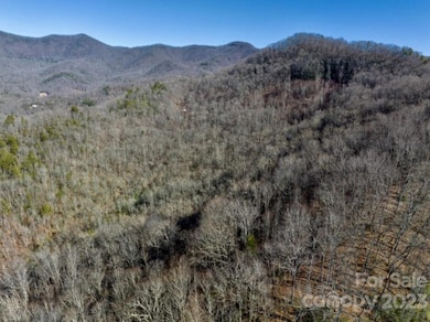 0 Bee Branch Dr unit CAR4027281, Cowee, NC 28734 - photo 3