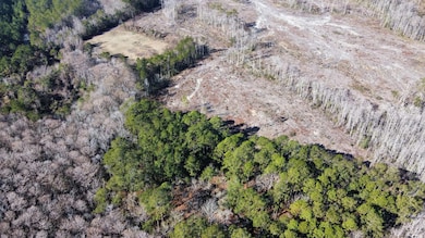 3143 S Island Rd, Georgetown, SC 29440 - photo 4