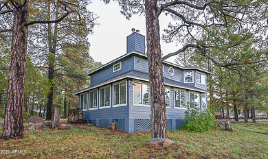 867 Crestview Dr, Mormon Lake, AZ 86038 - photo 6