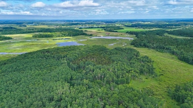 TBD Timberlane Rd, Staples, MN 56479 - photo 6