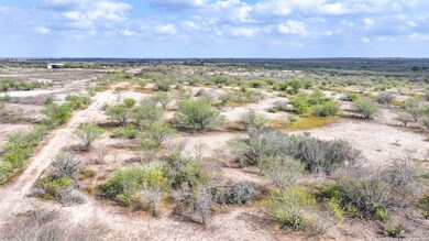 001 U S 181, Kenedy, TX 78119 - photo 7