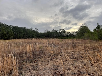 lot 8 Sumrall Rd, Columbia, MS 39429 - photo 2