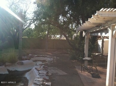 backyard 2