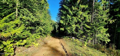 0 Alder Way unit 23-8799, St. Maries, ID 83861 - photo 2