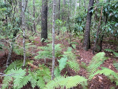 0 Lake Cole, Midway Park, NC 28544 - photo 6