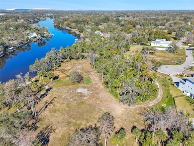 8331 Alafia Pointe Dr, Riverview, FL 33578 - photo 6