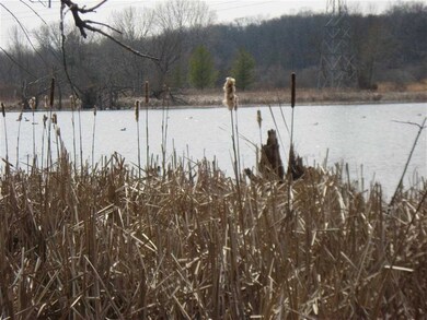 2589 Lalor Rd, Oregon, WI 53575 - photo 2