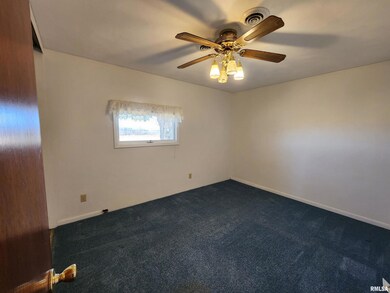 11700 300th St N, Hillsdale, IL 61257 - photo 7
