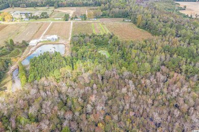 6165 Adrian Pkwy, Conway, SC 29526 - photo 7