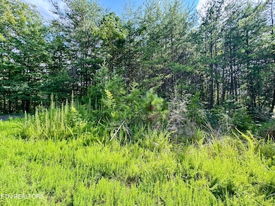 0 Sassafras Trail, Sevierville, TN 37876 - photo 2
