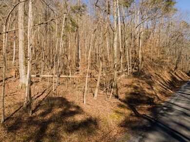 Powder Springs Lot - Photo -7