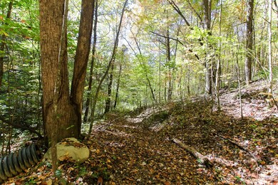 Lot 43 Falls View Rd, Bryson City, NC 28713 - photo 6