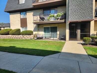 11131 S 84th Ave unit 1A, Palos Hills, IL 60465 - photo 2
