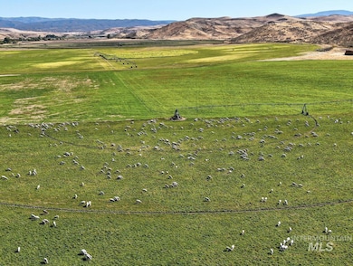 6600 Little Willow Rd, Payette, ID 83661 - photo 3