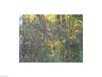 closeup ribbon starts the acreage