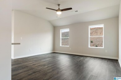 1230 Brookhaven Ln, Odenville, AL 35120 - photo 6