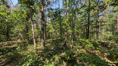 V/L E Stark Rd, Free Soil, MI 49411 - photo 3