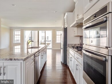 25016 Cambridge Hill Terrace, Chantilly, VA 20152 - photo 6