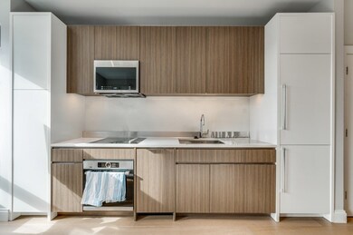 100 Shawmut Ave unit 411, Boston, MA 02118 - photo 4