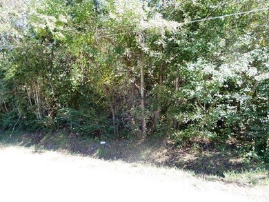 60 Brown St, Atmore, AL 36502 - photo 2