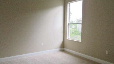 10141 Coldwater Loop, Land O Lakes, FL 34638 - photo 3