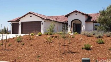 View form the street - drought tolerant landscape 
