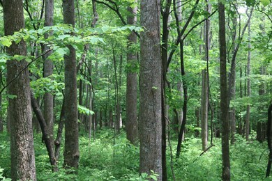 IMG_0415