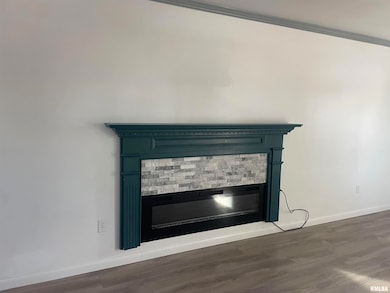 418 W Walnut St, Chillicothe, IL 61523 - photo 5